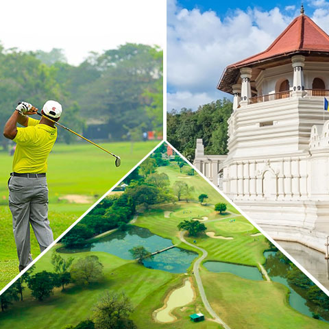 One day Golf Tour